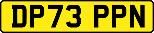 DP73PPN