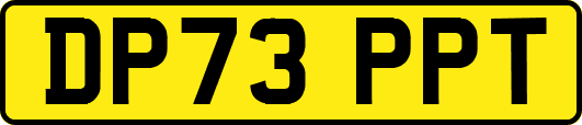 DP73PPT