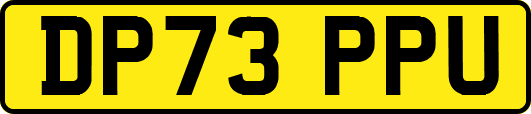 DP73PPU