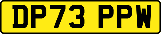 DP73PPW