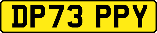 DP73PPY