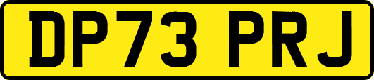DP73PRJ
