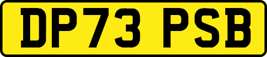 DP73PSB