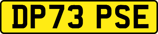 DP73PSE