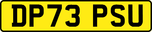 DP73PSU