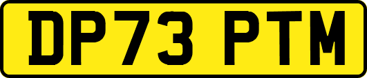 DP73PTM