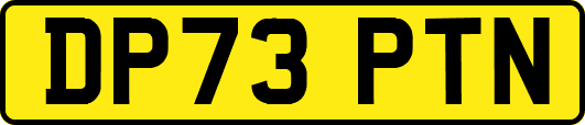DP73PTN