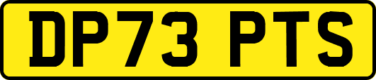 DP73PTS