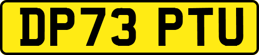 DP73PTU