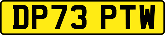 DP73PTW