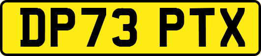 DP73PTX