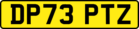 DP73PTZ