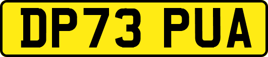 DP73PUA