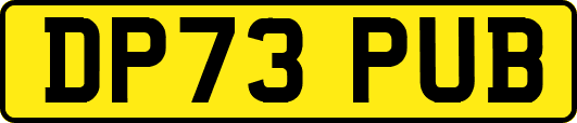 DP73PUB