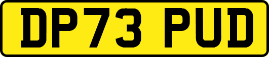 DP73PUD