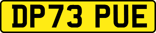DP73PUE