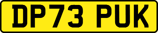 DP73PUK