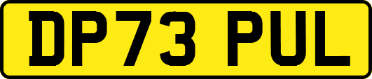 DP73PUL