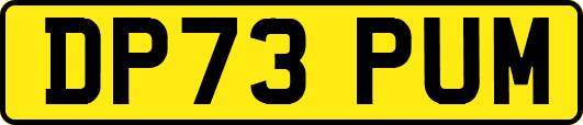 DP73PUM