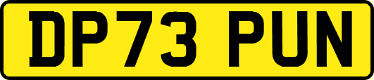 DP73PUN