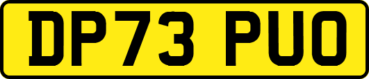 DP73PUO