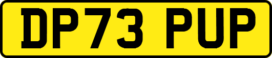 DP73PUP