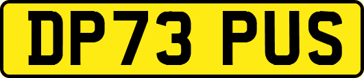 DP73PUS