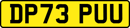 DP73PUU