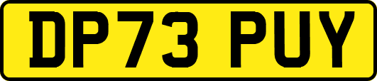 DP73PUY