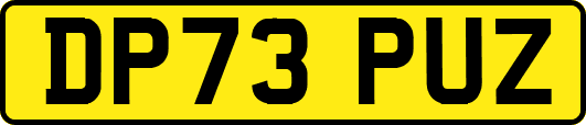 DP73PUZ