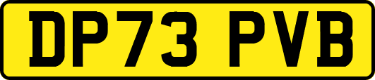 DP73PVB