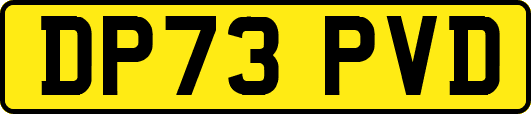DP73PVD