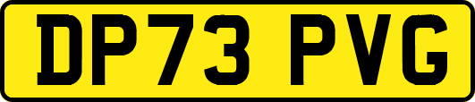 DP73PVG