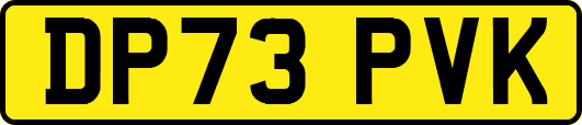 DP73PVK