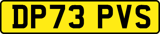 DP73PVS