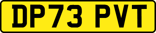 DP73PVT