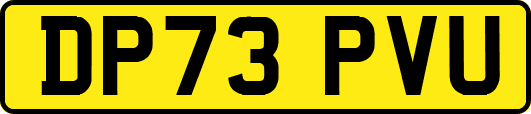 DP73PVU