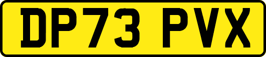 DP73PVX