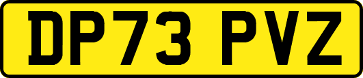 DP73PVZ