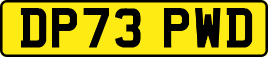 DP73PWD