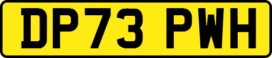 DP73PWH