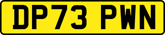 DP73PWN