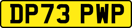 DP73PWP