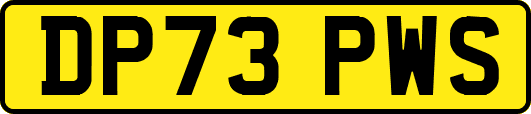 DP73PWS
