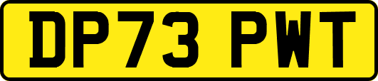 DP73PWT