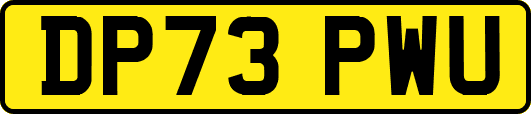 DP73PWU