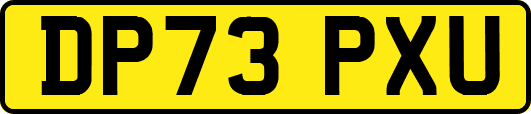 DP73PXU