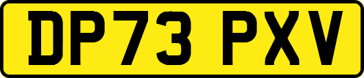 DP73PXV