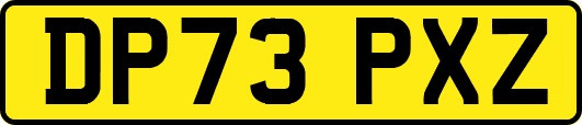 DP73PXZ