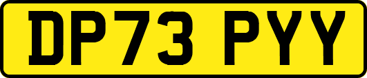 DP73PYY